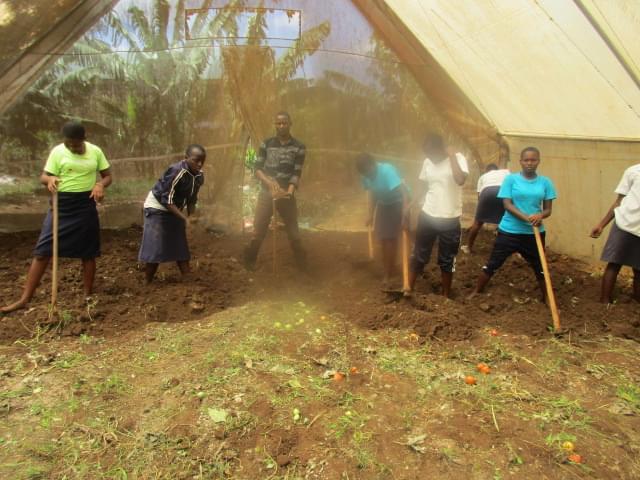 Girls at St. Clare farming